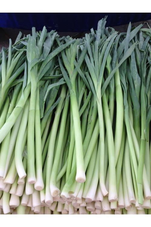 100 Adet Tohum Organik Bahçe Pırasa Prasa Tohumu Hobi Bahçe Acısız Taze Tohum Organik Hediye Tohumlu