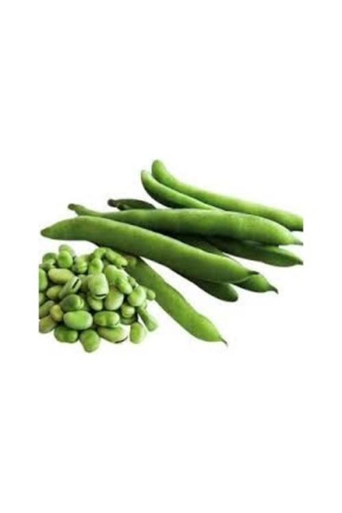 250 Adet Tohum Yerli Organik Hasat Köy Bol Verimli Erkenci Bakla Tohumu Bakla Tohum