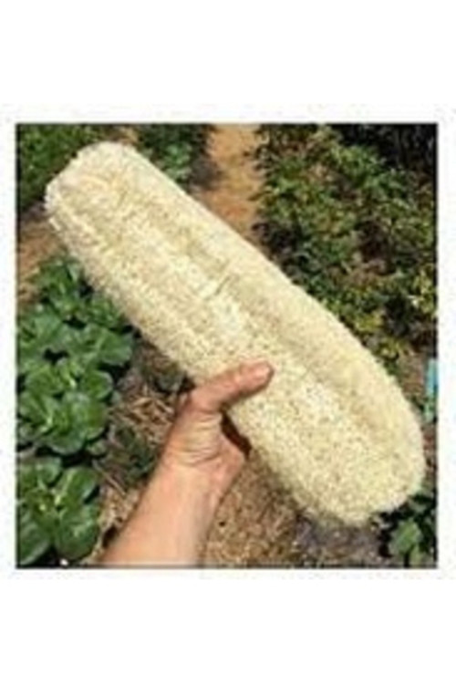 1 Adet 35 Cm Uzunluk Organik Lif Kabağı Sünger Bulaşık Banyo Kabak Kendini Temizleyen
