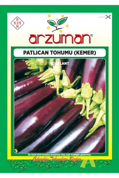 Arzuman Kemer Patlıcan Tohumu( 2.000 Adet Tohum)