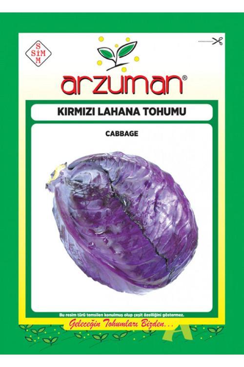 Arzuman Kırmızı Lahana Tohumu ( 2.500 Adet Tohum)