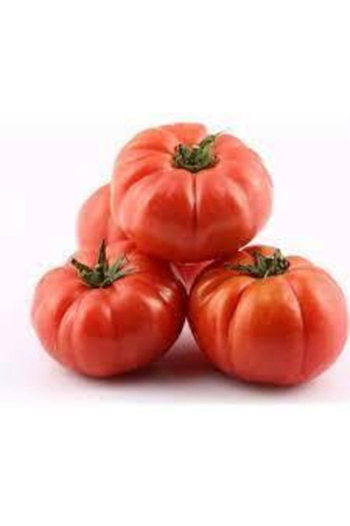 Köy Domates Tohumu 50 Adet
