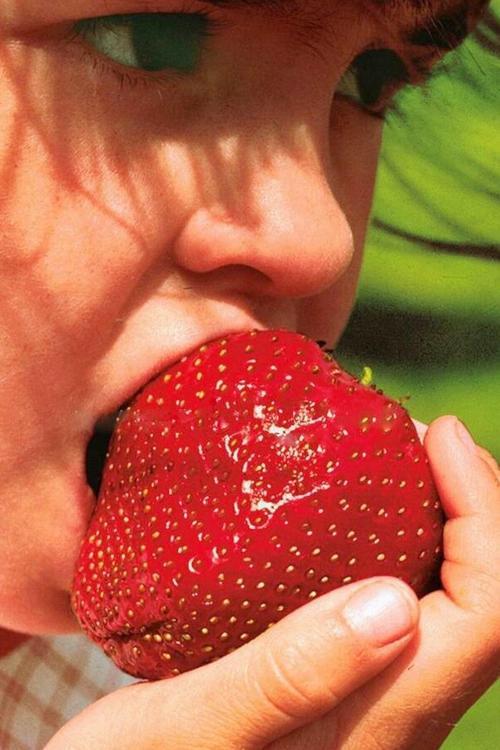 100 Adet Tohum Ithal Nadir Dev Çilek Tohum Yediveren Güney Amerika Çileği Tohumu Saksı Toprak Hediye