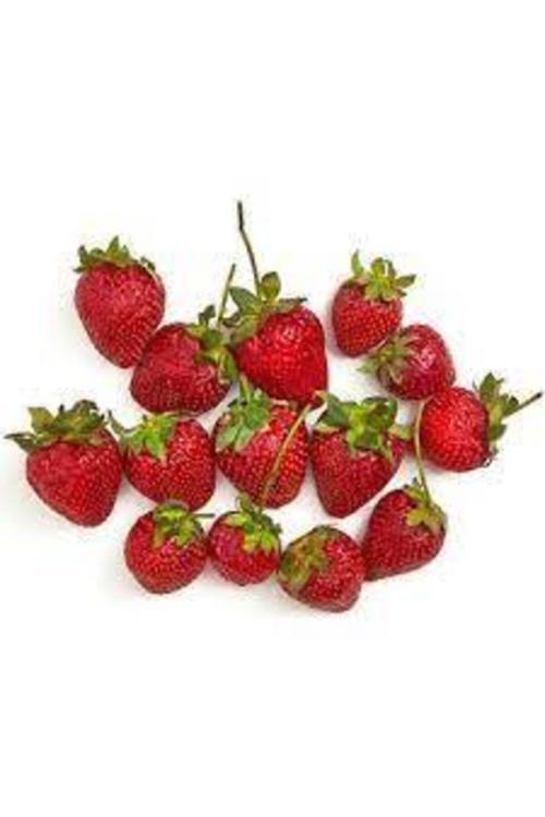 100 Adet Tohum Orjinal Organik Çilek Tohumu Doğal Çilek Tohum Köy Çileği Tohumu Sürpriz Kediye Tohum