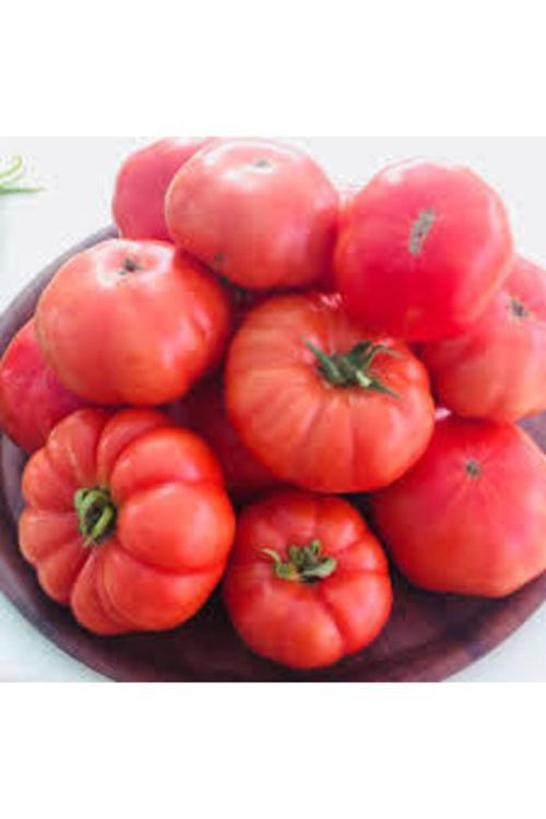 50 Adet Tohum Orjinal Köy Domates Domatesi Tohumu Natürel Ata Tohum Sürpriz Hediye Tohum