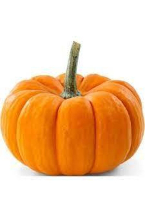 5 Adet Yerli İri Sarı Bal Kabağı Tohumu