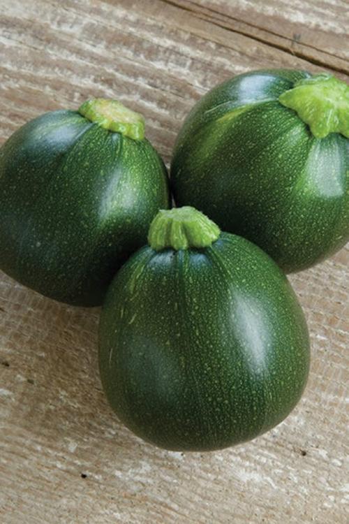 20 Adet Tohum Dolmalık Nadir Topak Kabak Tohumu Kabak Tohumu Topak Kabak Tohumu Hediye Tohumludur