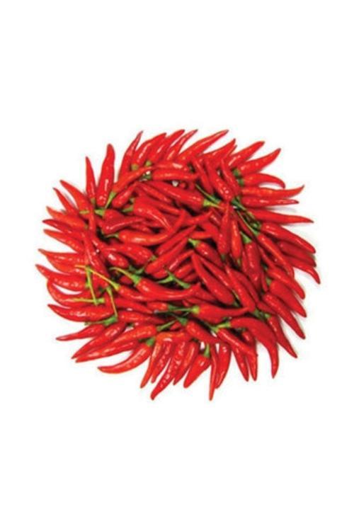 250 Adet Tohum Eko Paket Şili Biberi Tohumu Çok Acı Chili Biberi Tohumu Organik