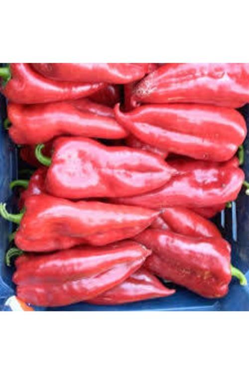 130 Adet Tohum Kırmızı Kapya Biber Tohumu Etli Pat Biber Kebaplık Biber Sürpriz Hediye Tohumludur