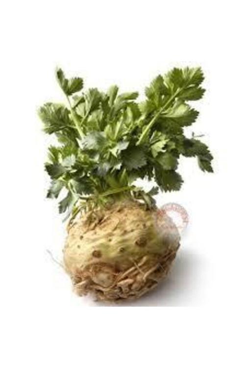 100 Adet Tohum Orjinal Kereviz Tohumu Kereviz Tohumları Sürpriz Hediye Tohumla Gönderilir