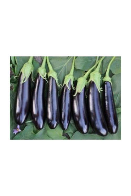 50 Adet Tohum Orgganik Bahçe Uzun Kemar Patlıcan Tohumu Siyah Kemer Patlıcan Tohumu Hediye Tohumlu