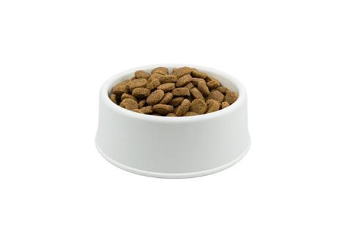 Hills Kuzulu Yetişkin Köpek Maması 1 Kg Açık