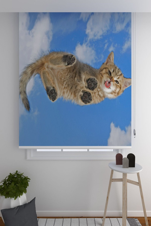 Stor Perde Sevimli Kedi Salon - Oturma - Hobi Odası Stor Perde