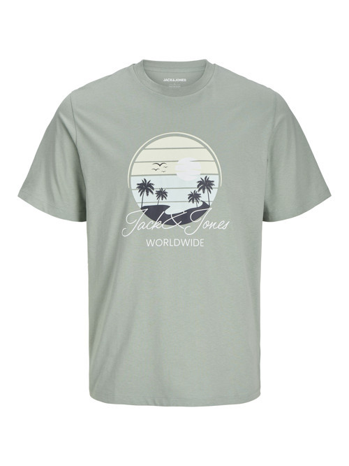 Jack Jones Jjpalm Tee Ss Crew Neck Jnr Erkek Haki Tshirt 12269922-03