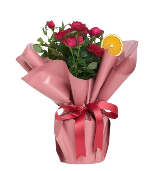 Kırmızı Gül Pembe Hediye Paketi	