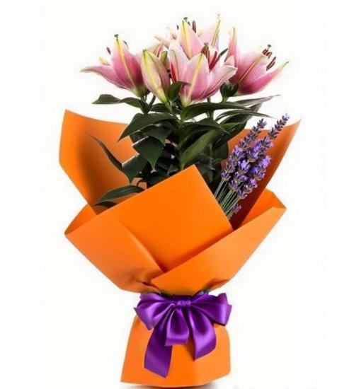 Orange Star Lilyum Çiçeği