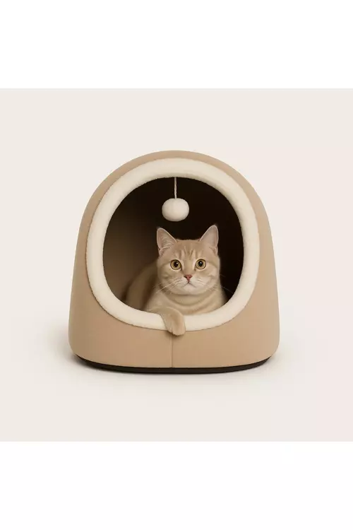 Alaska Model Kedi Evi