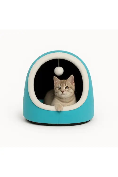 Alaska Model Kedi Evi