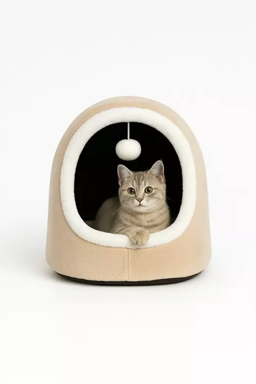 Alaska Model Kedi Evi