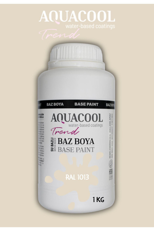 Akrilik Hobi Boya 1 Kg Su Bazlı Hibrit Dönüşüm Boyası Ral 1013 Inci Beyazı