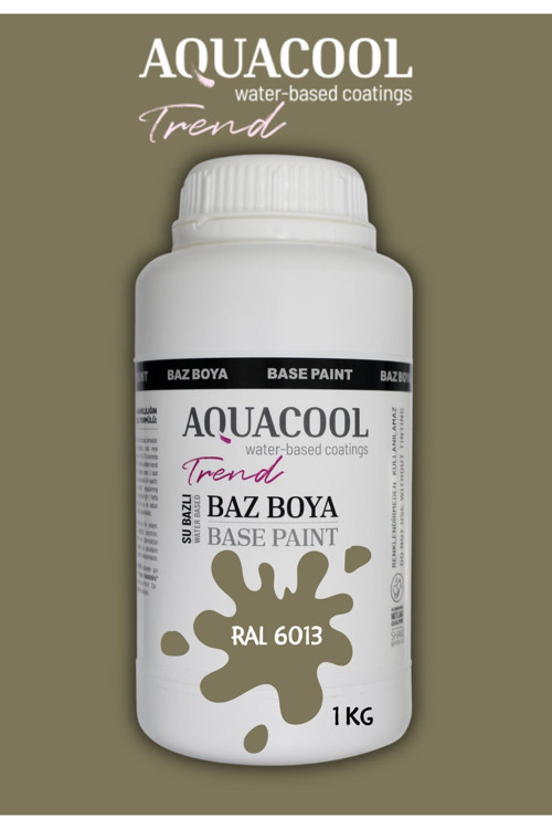 Akrilik Hobi Boya 1 Kg Su Bazlı Hibrit Dönüşüm Boyası Ral 6013 Sazlık Yeşili