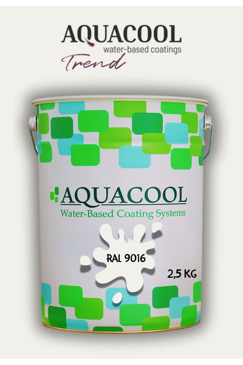 Akrilik Hobi Boya 2,5 Kg Su Bazlı Hibrit Dönüşüm Boyası Ral 9016 Trafik Beyazı