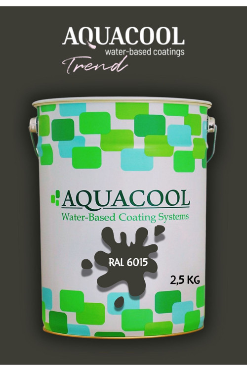 Akrilik Hobi Boya 2,5 Kg Su Bazlı Hibrit Dönüşüm Boyası Ral 6015 Siyah Zeytin