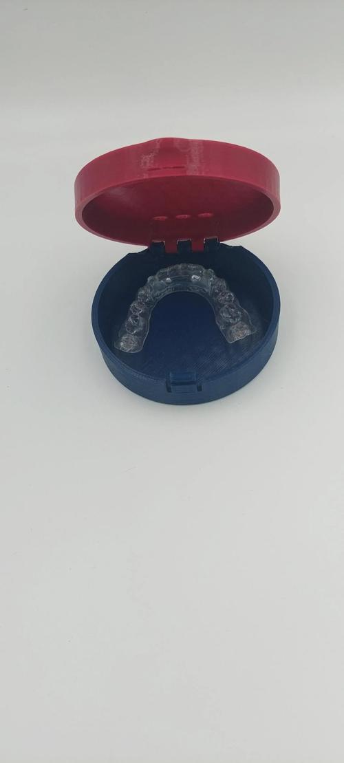 FixFlex Diş Plak Saklama Kutusu Fanatik TS