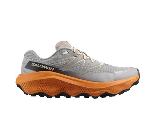 Ultra Flow 2 Gore-Tex Erkek Outdoor Koşu Ayakkabısı L47884200 Gri