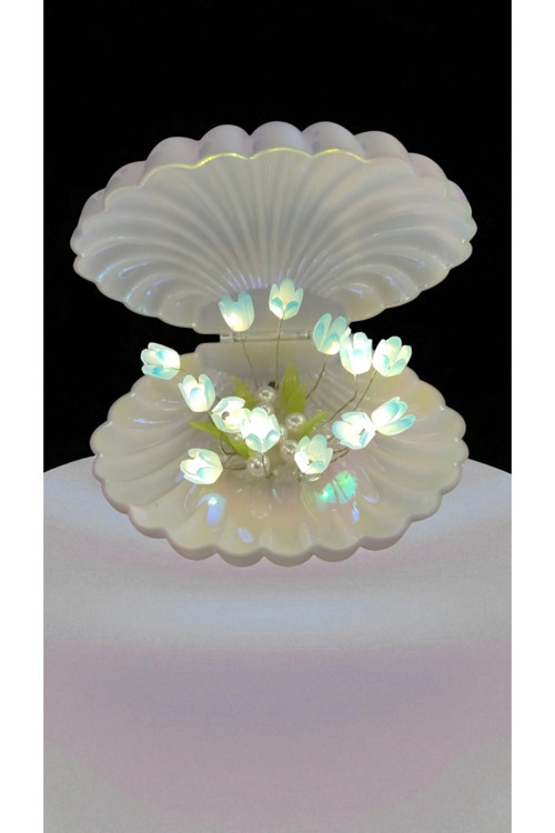 Çok Şık Hediyelik Ürün Ledli İstiridye 13*15 Cm