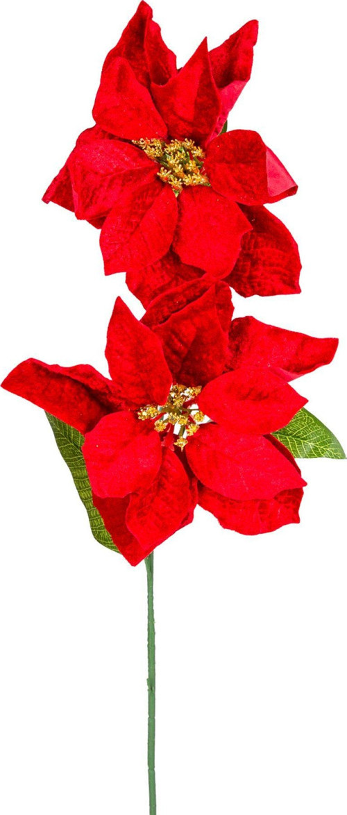 Yılbaşı Çiçeği, Puansetya, Kırmızı 2 Çiçekli, 75 cm