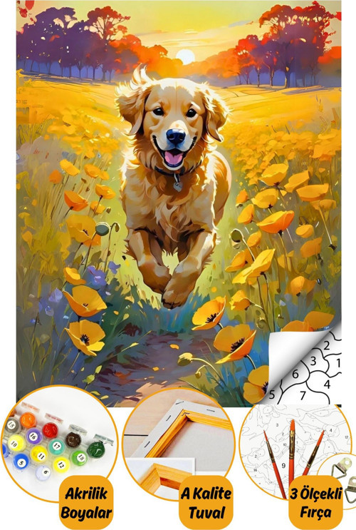 Sayılarla Boyama Numaralı Tuval Seti Fırça Boya Dahil 40X50Cm Tatlı Köpek