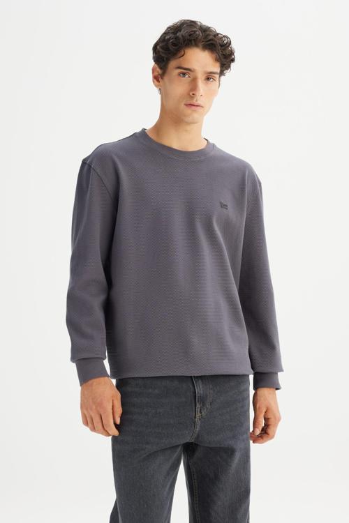 Erkek Pamuk Regular Fit Bisiklet Yaka Gri Sweatshirt -
