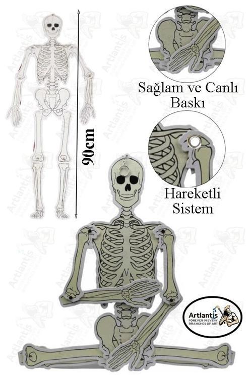 İskelet Modeli 90 cm 1 Adet Karton Büyük İskelet Maketi İskelet Sistemi Modeli Proje Ödev Fen Bilimleri Deney