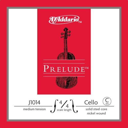 DADDARIO J1014 4/4M