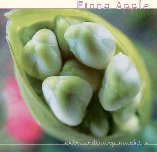 Fiona Apple Extraordinary Machine Plak