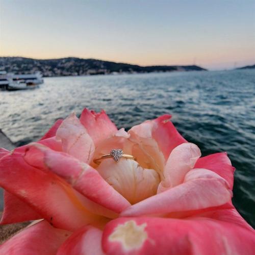 Love Kalp Tektaş Minimal Estetik Gündelik Gümüş Yüzük-Hediye Tektaş Düz Kol Minik Taşlı Gümüş Yüzük