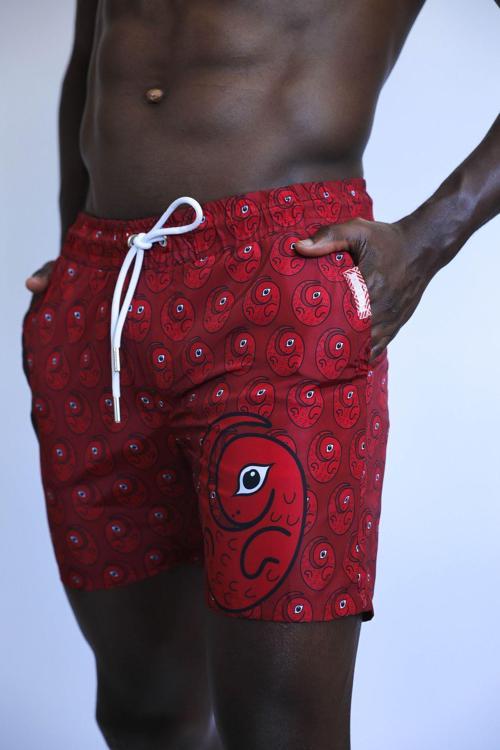 Erkek Dino Deniz Şortu