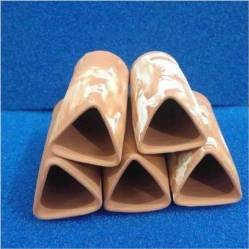 5 Adet Cüce Vatoz Yavruluğu