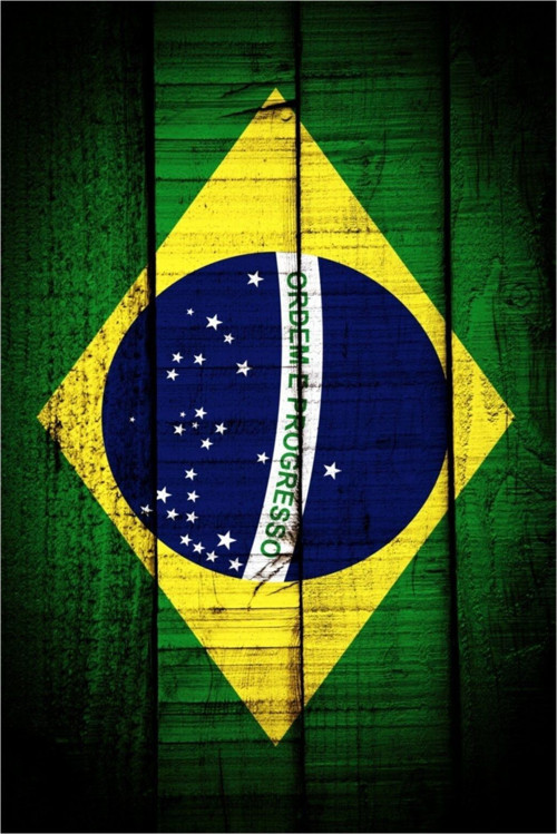 Bandana Brazil Flag