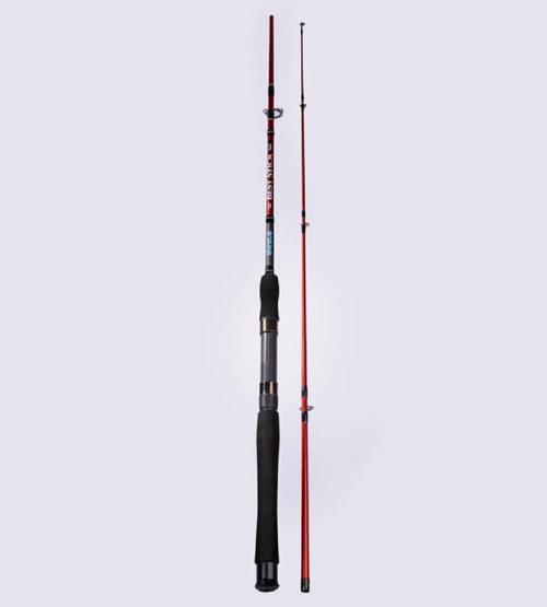 Best Stıck 240 Cm 10-30Gr 2Pc Spin Kamış