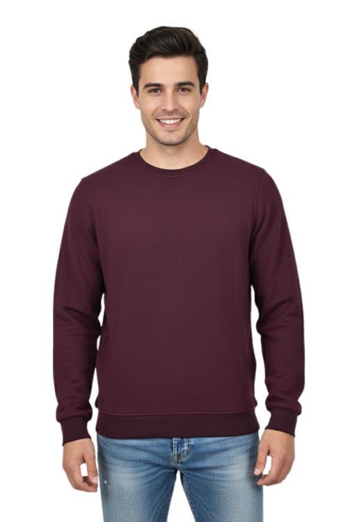 Erkek Sıfır Yaka Petek Doku Regular Fit Sweatshirt BGL-ST04950