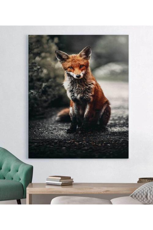 Tilki Resimli Kanvas Tablo