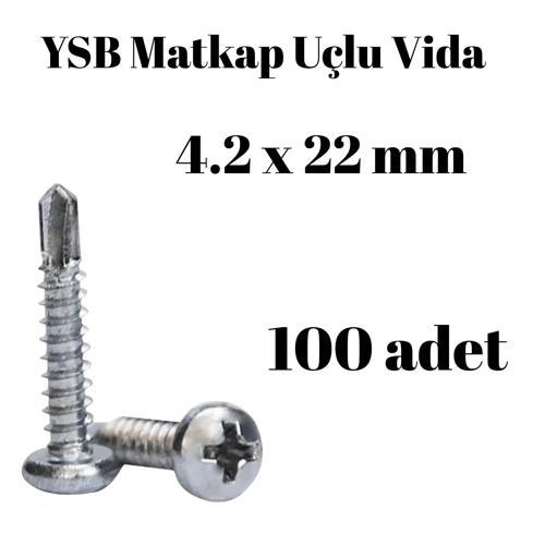 Yıldız Silindir Başlı 4.2x22 YSB Matkap Uçlu Akıllı Vida 100 Adet