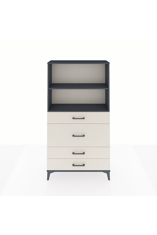 Arges Dolap 2 Raflı 4 Çekmeceli 88x30x163 Antrasit-Aytaşı