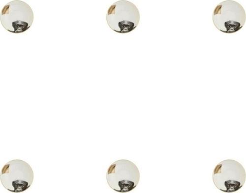 Wild Life Monkey Kase 10cm 6'lı 04alm006443