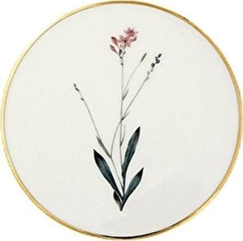 Botanical Ds4 Bardak Altlık 10 Cm