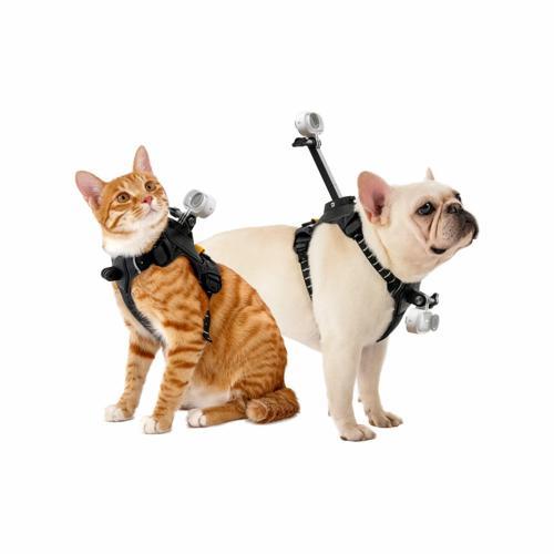 Pet Harness Mount ( S )