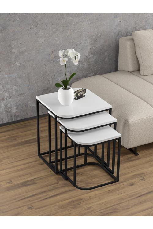 Kitaplık Çiçeklik 6 Raflı Ceviz Çok Amaçlı Stand Altı Bölmeli 160*30*43