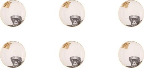 Wild Life Monkey Kase 17cm 6'lı 04alm006451